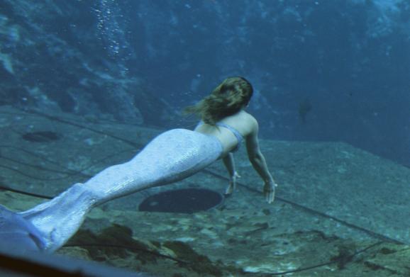 proof of mermaids