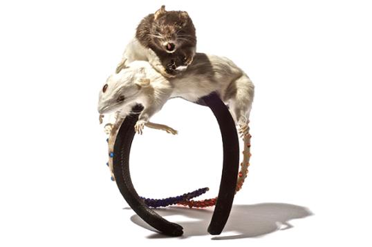 Photos: Road kill accessories // Courtesy of Tom Houser for Reid Peppard