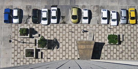Photo: Brandt Botes/Getty Images 
