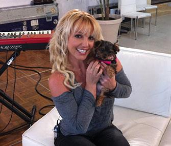 Photo: Twitter / Britney Spears poses with her new puppy, Hannah.