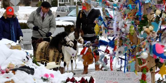 Photo: Courtesy of Gentle Carousel Miniature Therapy Horses
