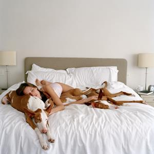 Photo: More singles own animals / Karen Moskowitz/Getty Images