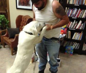 Photo: Animal Resource Center / Facebook
Nova, who was lost during Monday's tornado, is happily reunited with his owner.