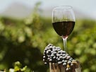Image: Wine glass (© Stockbyte/Photolibrary