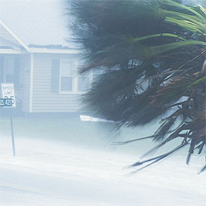 Image: Hurricane (© Digital Vision Ltd./SuperStock)