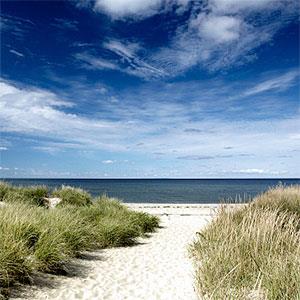 Beach, Welfleet MA © Jeffrey Coolidge, Photodisc, Getty Images
