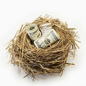 Image: Money in nest (© Steven Puetzer/Getty Images/Getty Images)