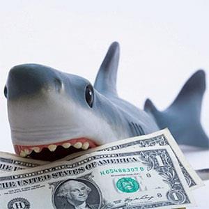 A toy shark holding U.S. dollar bills © Diane Macdonald, Photographer