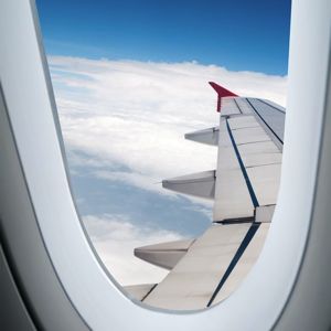 gui jun peng/Shutterstock