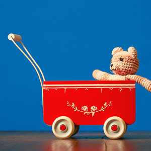 Teddy Bear (Fancy/Veer/Corbis/Corbis)