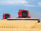 Image: Combines in field (Â© Mark Karrass/Corbis/Corbis)
