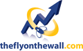 fly logo