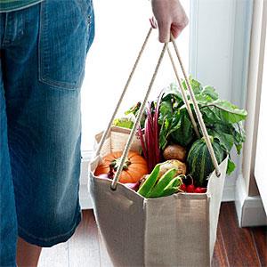 Woman carrying eco friendly shopping bag full of vegetables, low section copyright Harrison Eastwood, Digital Vision, Getty Images
