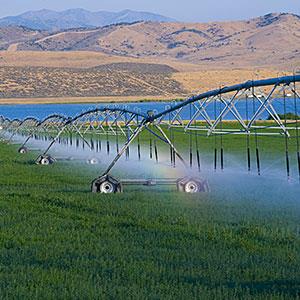 USA, Utah, sprinklers watering farm grass (© John Wang/Photodisc Red/Getty Images)