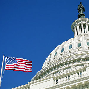 US Capitol Donovan Reese Getty Images