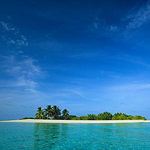  Maldives, tropical island with palm trees in middle of ocean copyright Stuart Gregory, Digital Vision, Getty Images