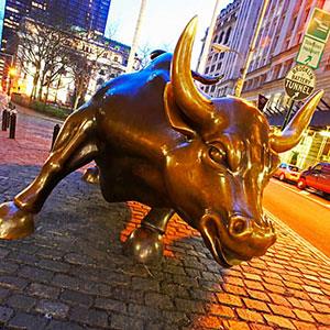 Image: Bull (Photographers Choice RF/SuperStock)