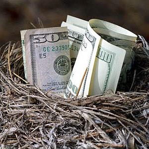 A bird nest full of money © David R. Frazier Photolibrary, Inc., Alamy