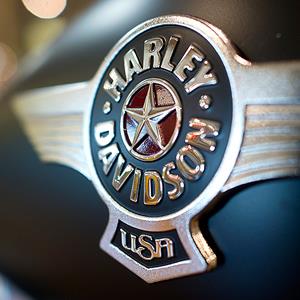 Getty RM: 149579585 expires in 2 years
The Harley-Davidson Inc. logo is displayed on a gas tank of a Fat Boy Lo motorcycle
© David Paul Morris/Bloomberg via Getty Images