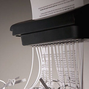 Logo: Shredder (Kelly Redinger/age fotostock/age fotostock)