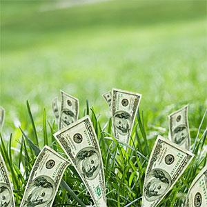 $100 bills growing in grass © REB Images, Blend Images, Getty Images