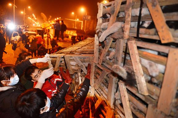 A truck packed with 1,000 cats. Image: HAP/Quirky China News/Rex Features