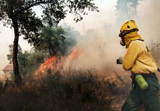 Bombero apagando el fuego que ha destrozado el bosque de La Jonquera y que ha tenido como balance cuatro víctimas. Foto: GTres