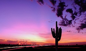 Phoenix // © Dusty Pixel photography/Getty Images 