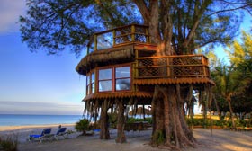 © HLT

http://cooltreehouse.com/
