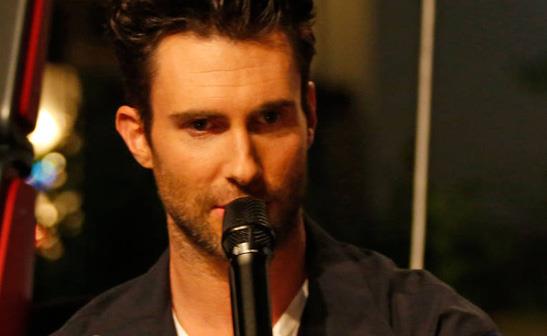 Adam Levine/WENN
