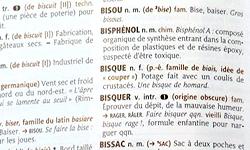 Expliquez-nous : les nouveaux mots du dictionnaire