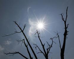 Reuters