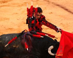 Fallait-il interdire la corrida ? 