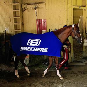 Credit: © Rob Carr/Getty Images
Caption: Kentucky Derby and Preakness winner California Chrome is walked in the barn following a workout in preparation for the 146th running of the Belmont Stakes at Belmont Park on June 6, 2014 in Elmont, New York