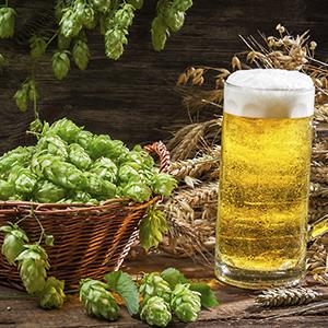 Basket full of hops and a cold beer © Shaiith/Getty Images